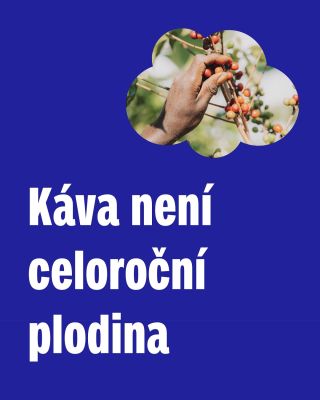 Věděli jste, že káva není celoroční plodina? ☀️ Většina lidí si myslí, že je káva ze všech regionů vždycky dostupná. Jenže...