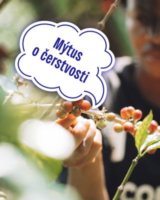 🙋🏻 Možná to ještě nevíte, ale zrnková káva má své nejlepší chuťové období… a není to hned po pražení. ⚡️ 💭 Prvních pár dnů...